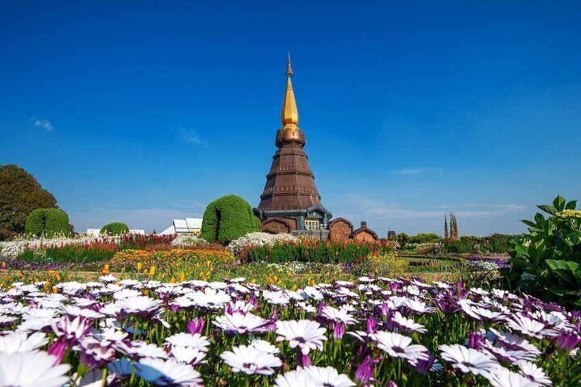 Full Day Doi Inthanon National Park Tour( Joint)