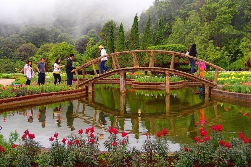 Full Day Doi Inthanon National Park Tour( Joint)