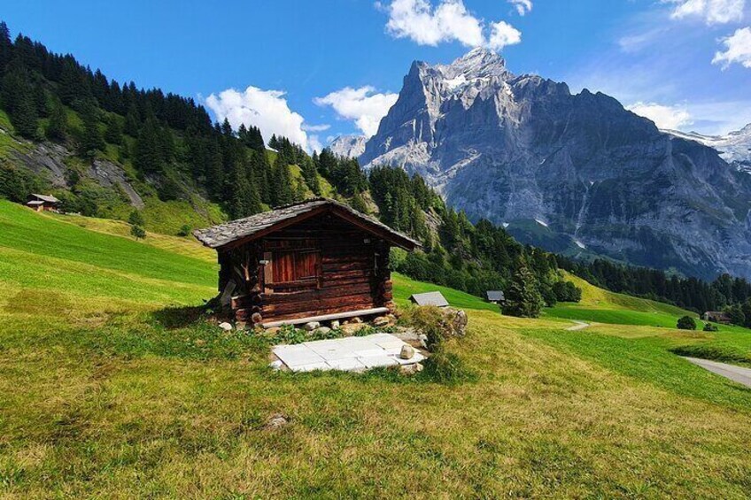 Cableway Ticket to Grindelwald First with Cliff Walk