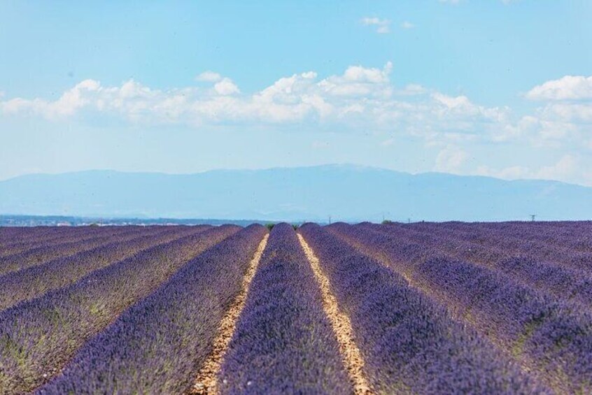 Private Tour of Gorges of Verdon and Fields of Lavender in Nice