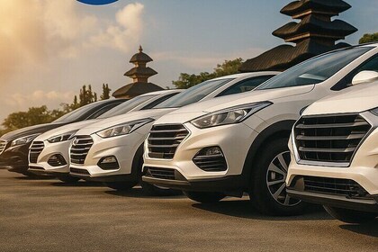 Bali Rent Car ( 1 dag )