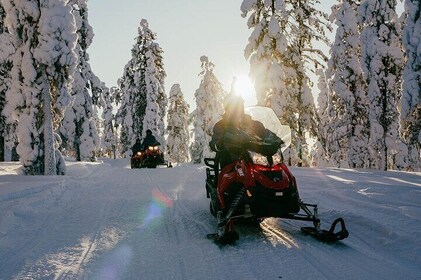 2 Hours Snowmobile Safari to the Levi Nature