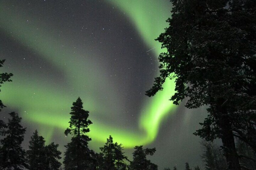 3-Hour Snowmobile Safari to Search Northern Lights in Levi 