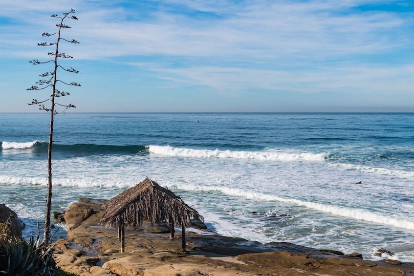 Ultimate La Jolla Self-Guided Audio Tour Bundle