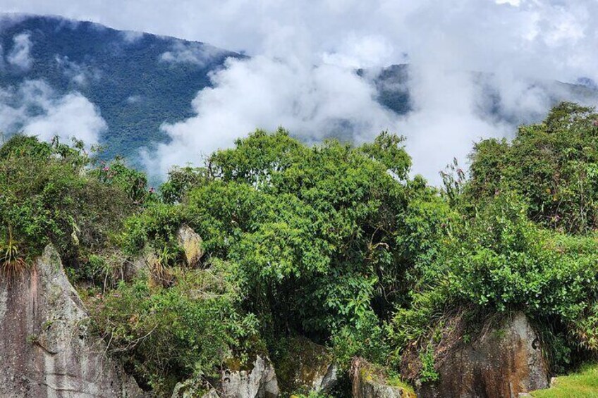 Half Day Private Tour Machu Picchu Cusco Peru