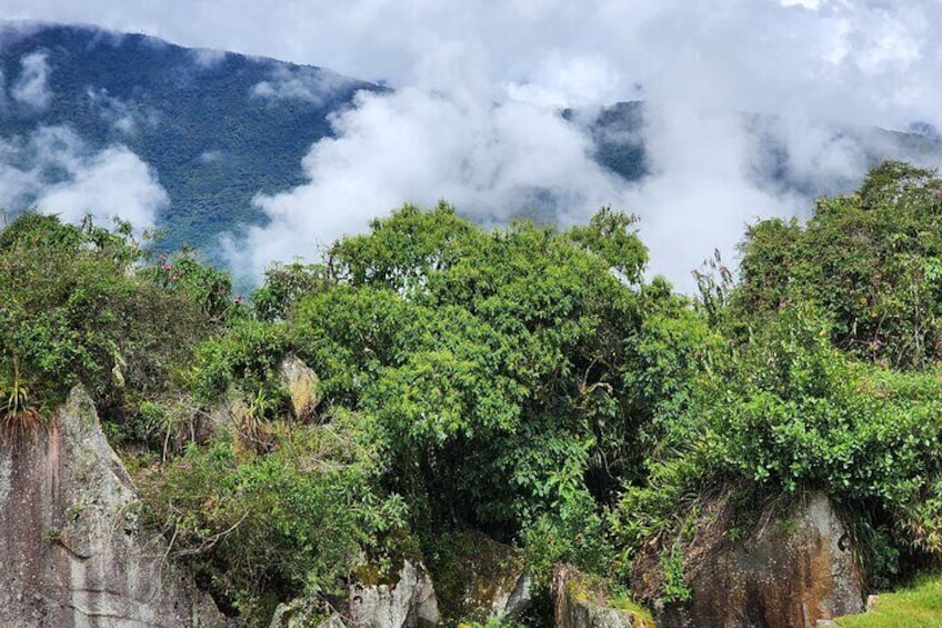 Half Day Private Tour Machu Picchu Cusco Peru
