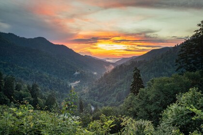 Great Smoky & Cades Cove Self-Guided Driving Tour Bundle