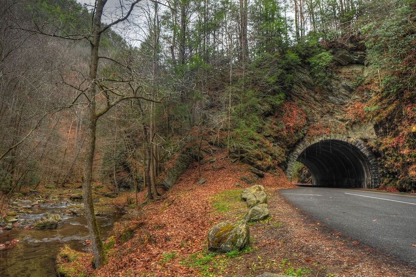 Great Smoky & Cades Cove Self-Guided Driving Audio Tour Bundle