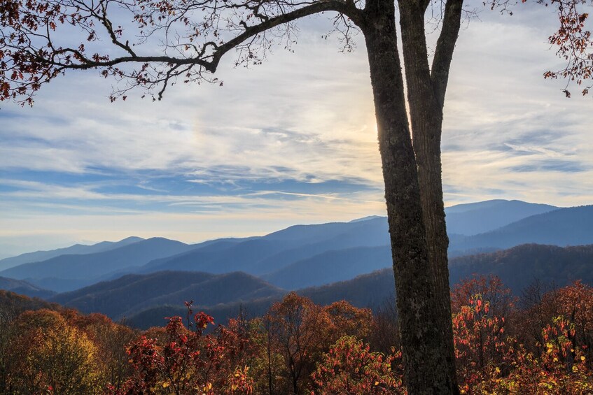 Great Smoky & Cades Cove Self-Guided Driving Audio Tour Bundle