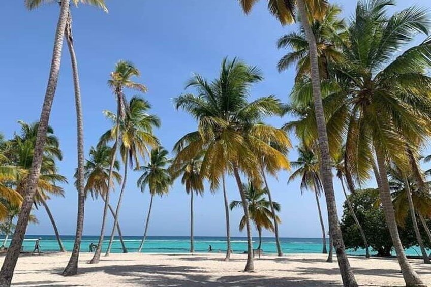 Paradise on earth saona island from punta cana.