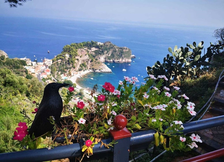 Picture 5 for Activity Taormina: Guided Walking Tour