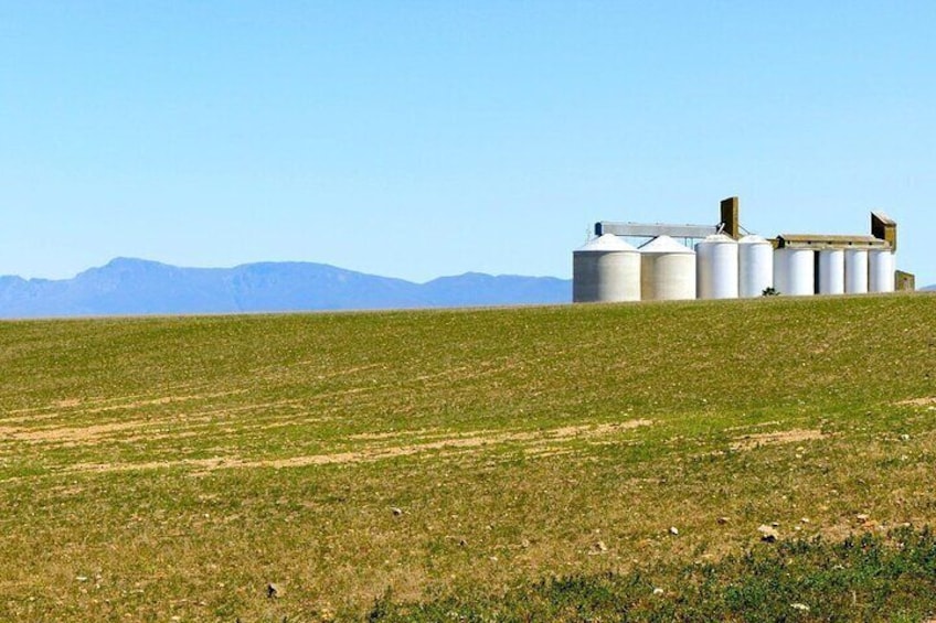 Private Tour to Cape Agulhas from Cape Town