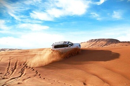 Thrilling 4-Hour Dune Bashing & Camel Ride Safari to Inland Sea