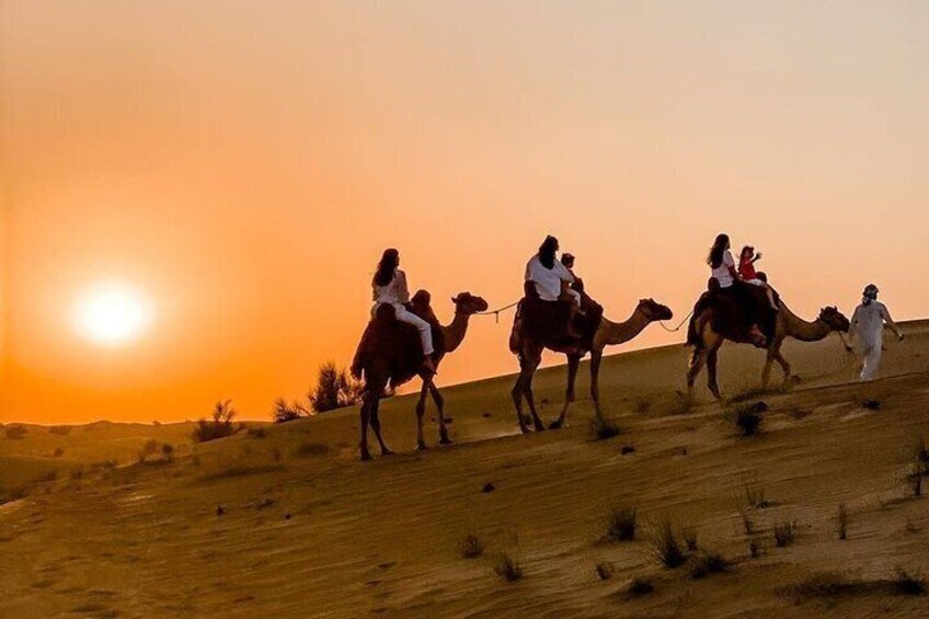 4-Hour Doha Desert Safari Tour with Pickup Included