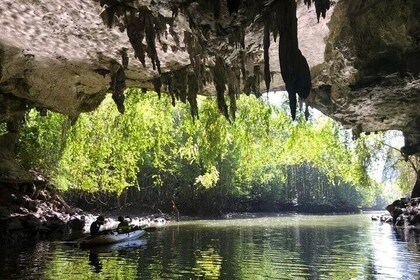 Full Day Guided Tour in Bor Thor Caves and Mangroves