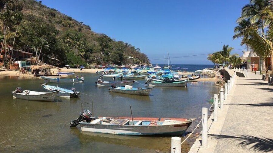 Boca de Tomatalan Harbor