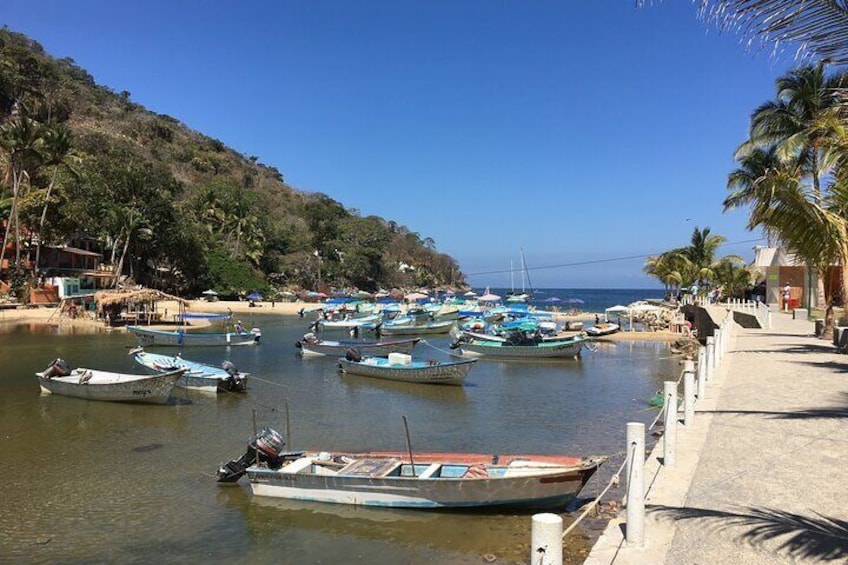 Boca de Tomatalan Harbor