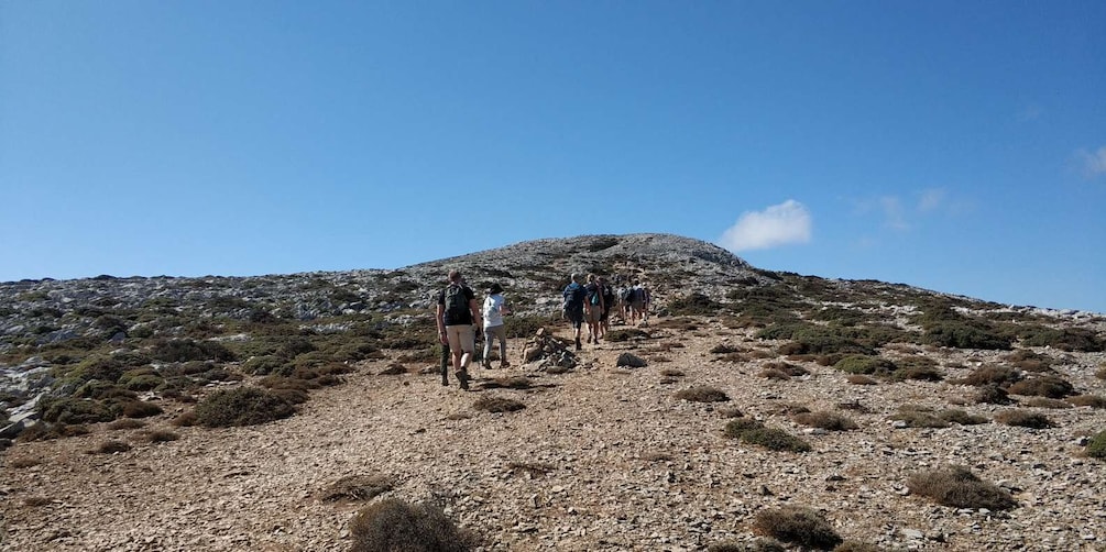 Picture 20 for Activity Naxos: Hike to the top of the Cyclades - Mount Zas