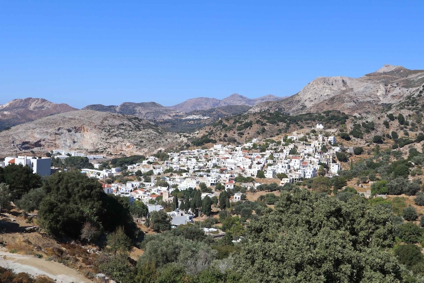 Picture 6 for Activity Naxos: Hike to the top of the Cyclades - Mount Zas
