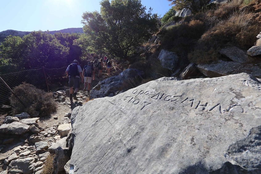 Picture 2 for Activity Naxos: Hike to the Top of Mount Zas with a Guide