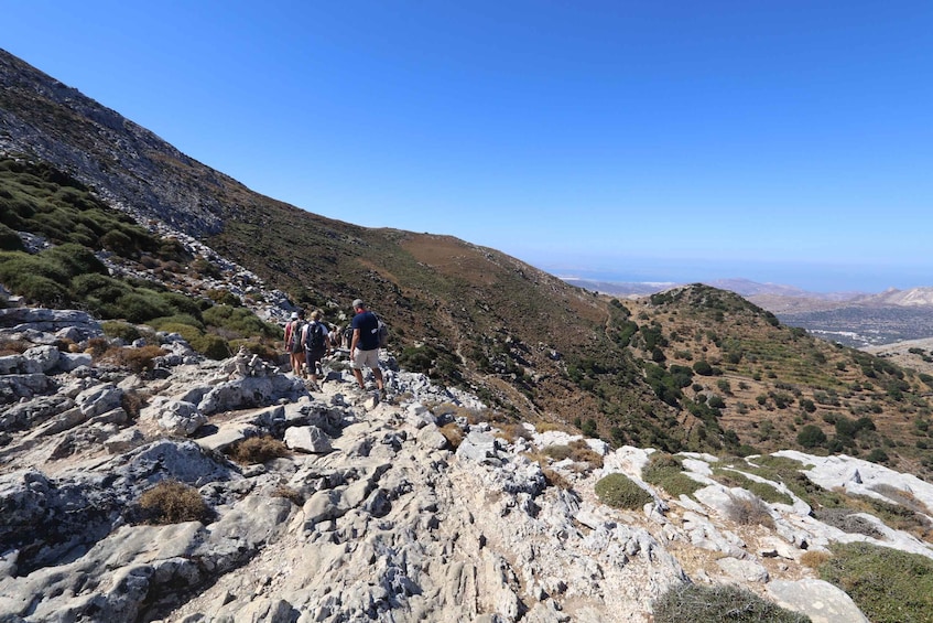 Picture 11 for Activity Naxos: Hike to the top of the Cyclades - Mount Zas
