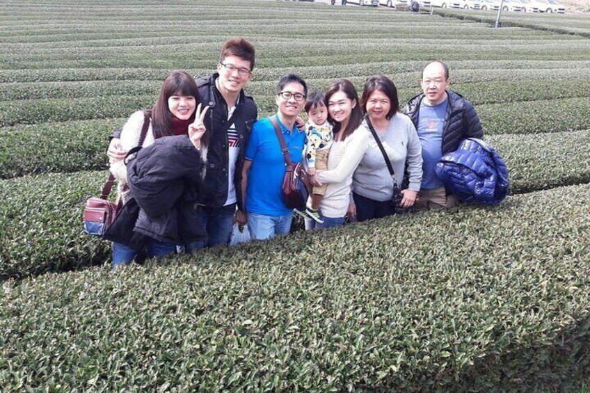 Half-Day Jeju Island Private Taxi Tour in O`sulloc and Innisfree