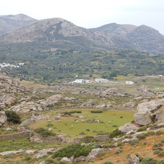 Picture 15 for Activity Naxos: Inland hike villages - Kouroi statues, Apano Kastro