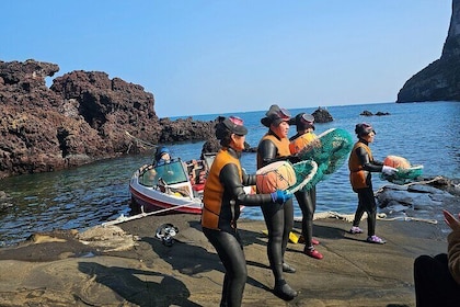 Tour privado de un día a Jeju: actuación de Seongsan Ilchulbong y Haenyeo