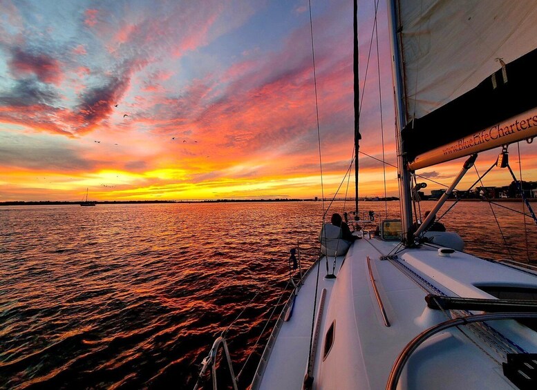 Picture 9 for Activity Charleston: Private BYOB Luxury Sailing Cruise