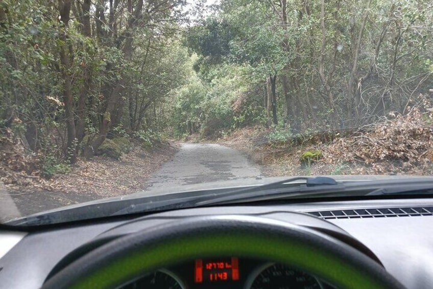 Etna by Jeep: Lava caves, Craters, Caldera + Typical tasting