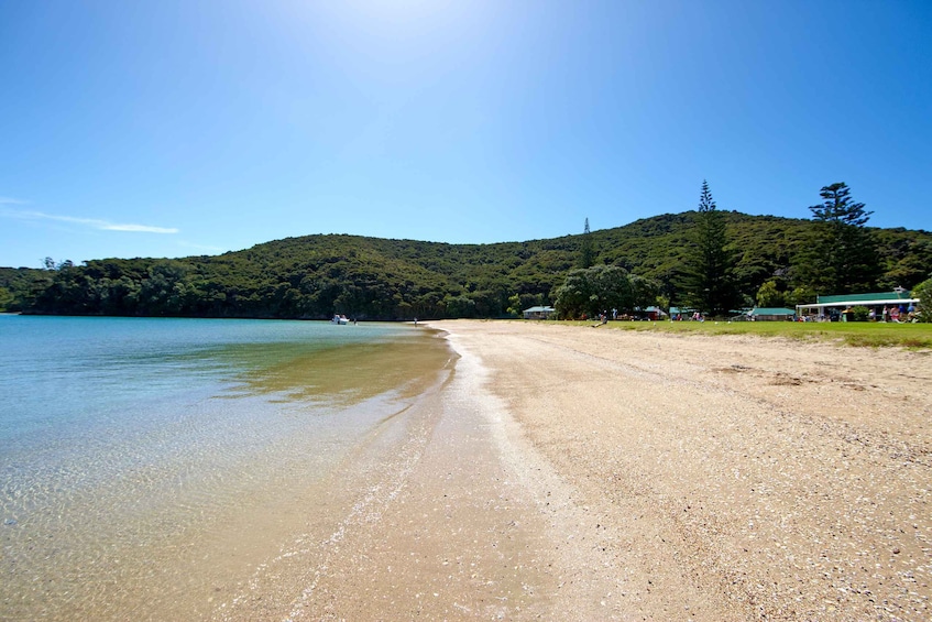 Picture 6 for Activity From Paihia: Cream Trip Full-Day Cruise to Bay of Islands