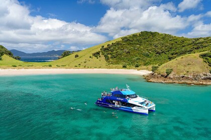 From Paihia: Cream Trip Full-Day Cruise to Bay of Islands