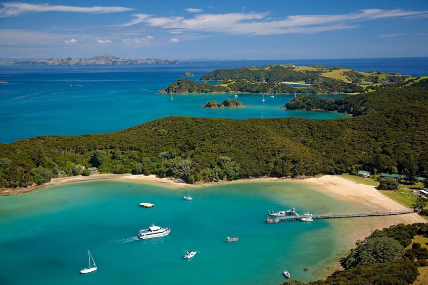 Picture 3 for Activity From Paihia: Cream Trip Full-Day Cruise to Bay of Islands