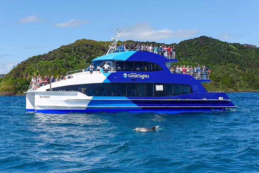 Picture 4 for Activity From Paihia: Cream Trip Full-Day Cruise to Bay of Islands