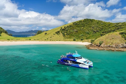 From Paihia: Cream Trip Full-Day Cruise to Bay of Islands
