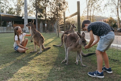 Paradise Country: Ultimate Aussie Farm Experience