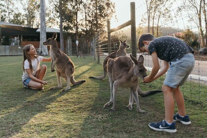 Paratiisin maa: Aussie Farm Experience