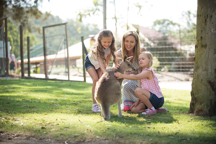 Picture 2 for Activity Paradise Country: Ultimate Aussie Farm Experience