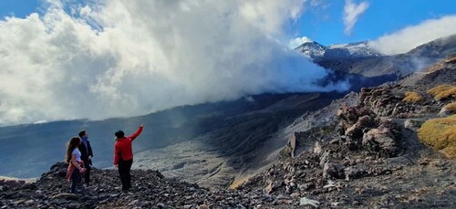 Vanuit Taormina of Catania: Privéwandeling van een hele dag op de Etna