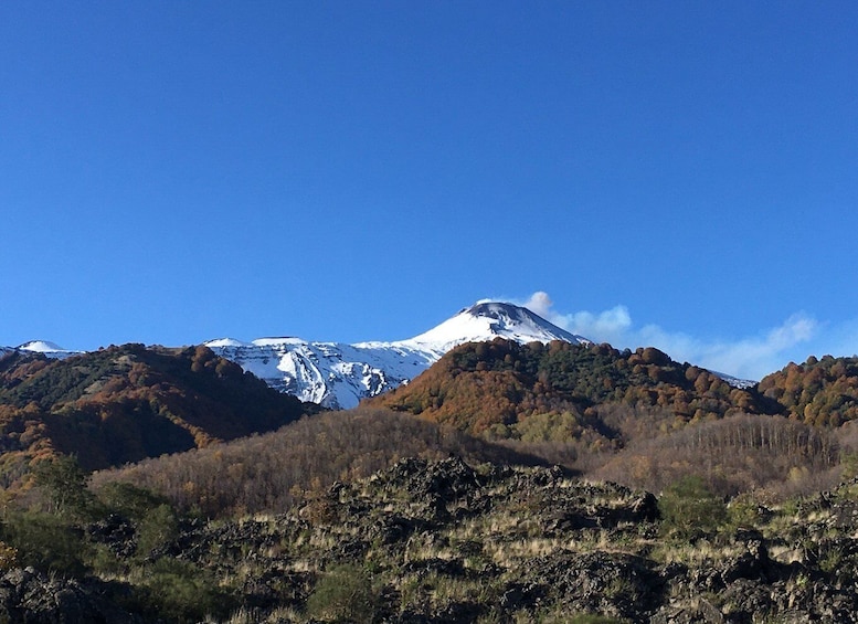 Picture 13 for Activity From Taormina or Catania: Private Full-Day Mount Etna Hike