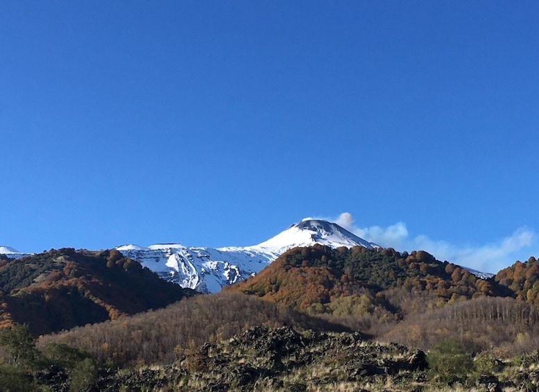 Picture 13 for Activity From Taormina or Catania: Private Full-Day Mount Etna Hike