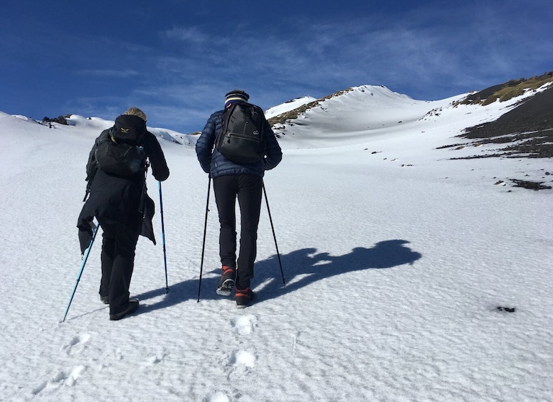 Picture 12 for Activity From Taormina or Catania: Private Full-Day Mount Etna Hike