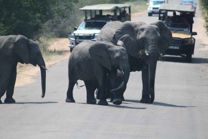 Picture 5 for Activity 3 Days 2 Nights Panorama Tour & Kruger National park Safari