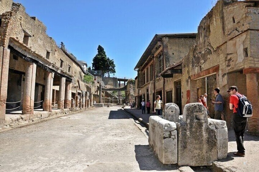 Half Day Excursion to Herculaneum from Naples with Lunch