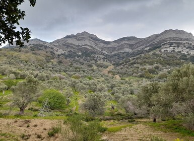 Naxos: Countryside hike among villages & Byzantine churches