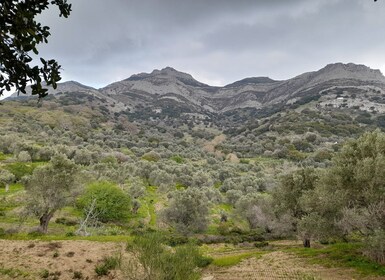 Naxos: Countryside hike among villages & Byzantine churches