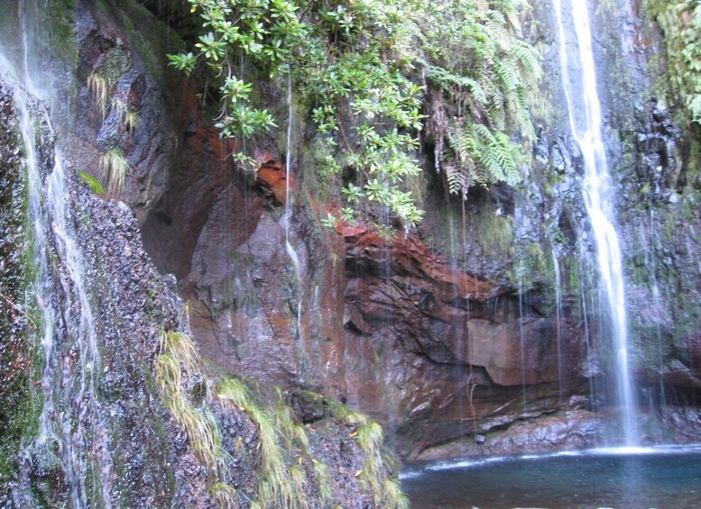 Picture 4 for Activity Madeira: Guided Full-Day Rabaçal Walk