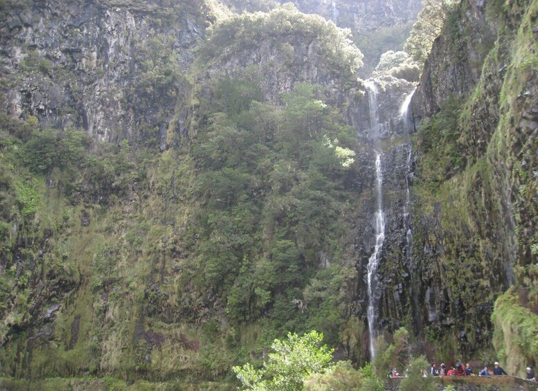 Picture 6 for Activity Madeira: Guided Full-Day Rabaçal Walk