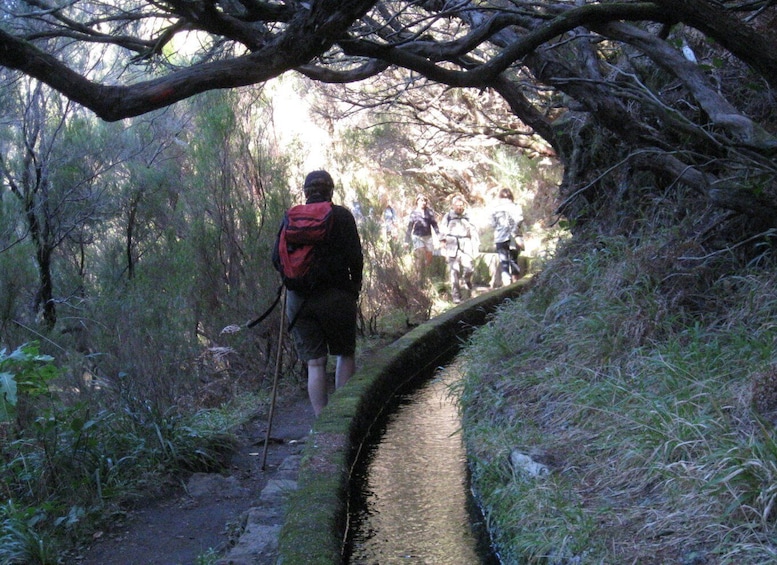 Picture 2 for Activity Madeira: Guided Full-Day Rabaçal Walk