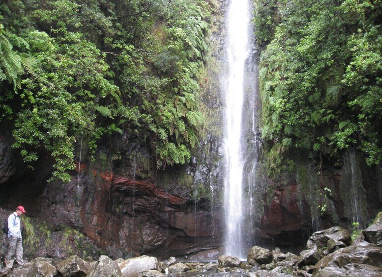 Picture 1 for Activity Madeira: Guided Full-Day Rabaçal Walk